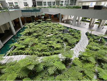 Innenhof mit üppigem Farngarten in einem modernen Gebäude